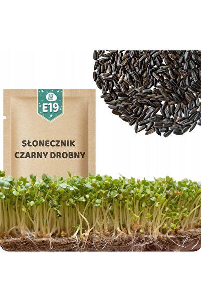 Other 51Seed E19 SEMINȚE DE GERMINAT - SEMINȚE DE FLOAREA-SOARELUI MĂRIMEA MI...