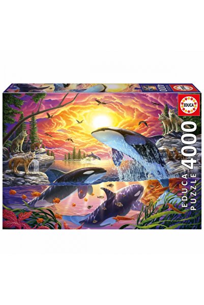 EDUCA Puzzle, Educa, Killer Whales and Wolves, 4000 piese