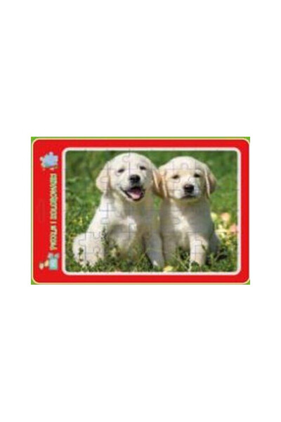 MD Creative Puzzle set 2 in 1 cu rame si colorat, multicolor, 0x22x31cm