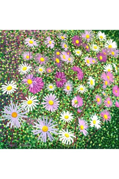 OEM Carnet cu plic Astra (Susan Entwistle) 156x156 mm, folie
