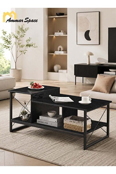 Ammar Space Center Table, Wood 2-Tier Coffee Table with Storage Shelf for Liv...