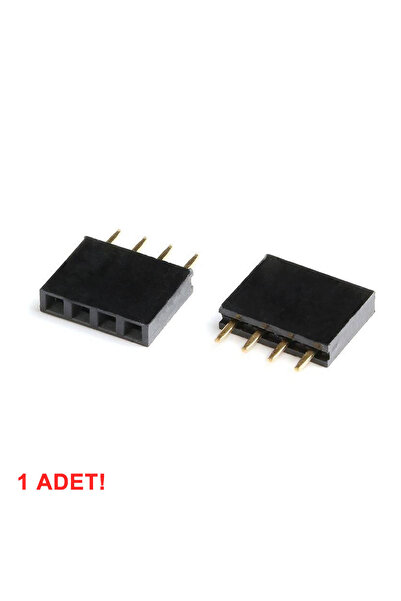 Roboyol Store 4 Pin Tek Sıra Dişi Header