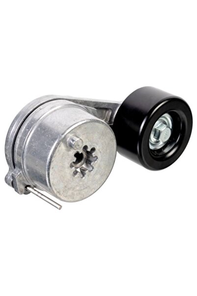 FEBI BILSTEIN Intinzator,curea accesorii Rvi C D K T Volvo B11 Fh Fh Ii Fh Ii...