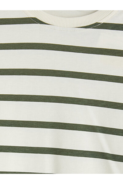 LC Waikiki Crew Neck Striped Boy T-Shirt