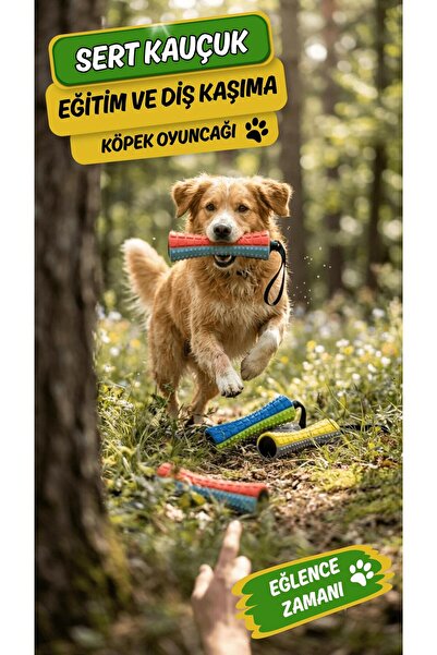 Ovisso Hard Rubber Training and Teething Toy
