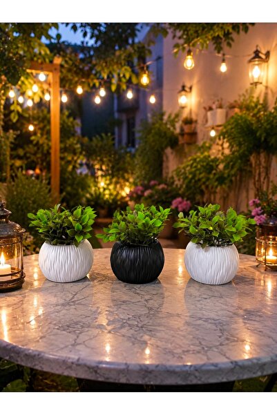 Evim de Evim 3 yapay bitki çiçek 2 beyaz 1 siyah oval desenli saksı ev raf bü...