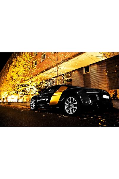 Persona Tablou canvas model Auto, 100 x70 cm, 15