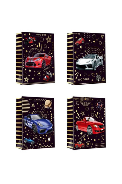 OEM Punga cadou  "Vehicule " W&K 23×18×10 cm, mix de modele