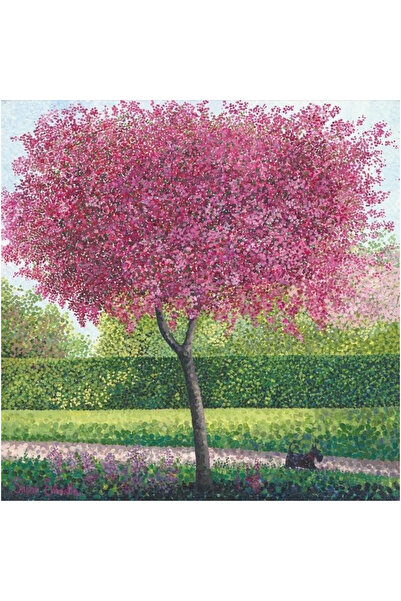 OEM Felicitare Susan Entwistle Jablon kwiecista multicolor 15.5x16.1cm