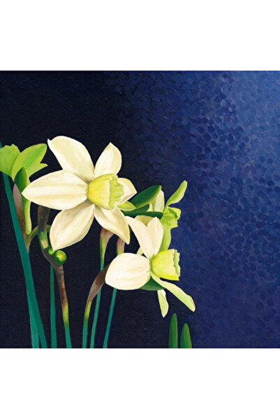 OEM Karnet (felicitare) cu plic Susan Entwistle Narcyz, cu ilustratie narcisa...
