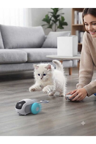 PATİZİSHOP Remote Controlled Cat & Dog Toy Car