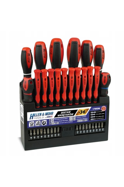 dedra Șurubelnițe și biți HILLEN&MOHR Plat, Cruce, TORX, set 36 piese