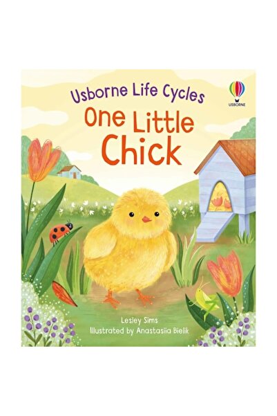 Usborne Carte pentru copii, Editare, Un pui mic, 2+ ani