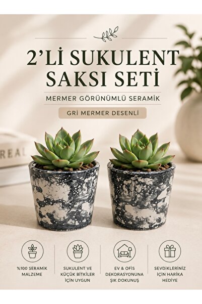 2’li Seramik Sukulent ve Küçük Süs Bitkisi Saksı Seti – Gri Mermer Görünümlü