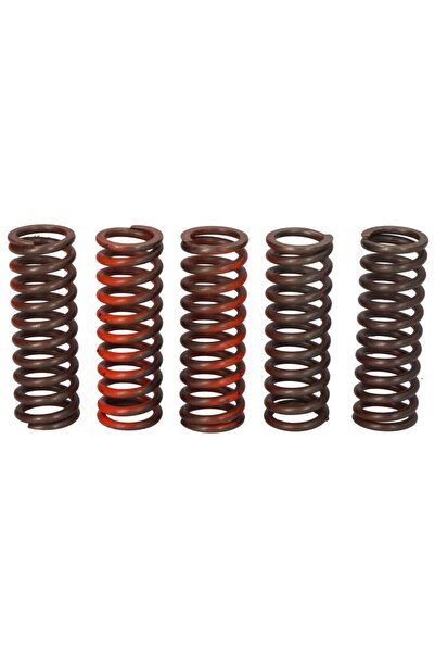TRW Set Arcuri Ambreiaj Yamaha Mt-03 Xt 660 2004-2009 YAMAHA MT-03/XT
