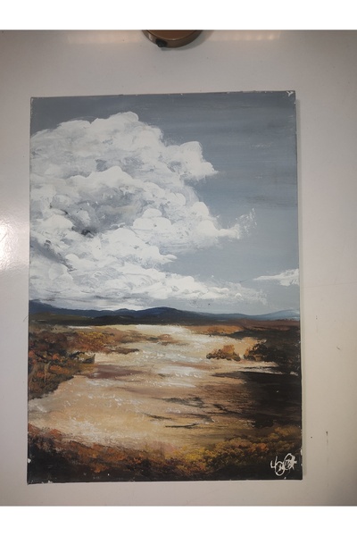 YSS El yapımı akrilik boya tablo 35 x50