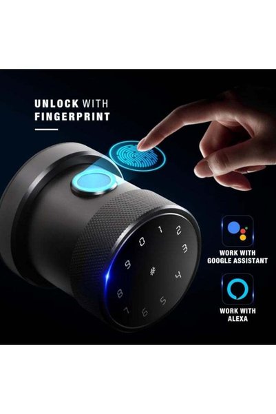 ozone OZ-FDL-11-R Life Smart Lock for Wooden Doors with Google Assistant & Alexa Enabled (without Wi-Fi Gateway, Black)