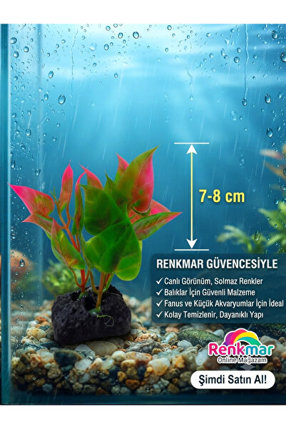 renkmar Akvaryum Yapay Bitçiği 7-8 cm Fanus ve Küçük Akvaryum Dekoratif Plast...