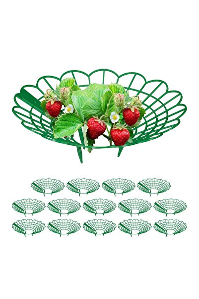 Relaxdays Set de suporturi pentru căpșuni, Relaxdays, verde, 10x30cm