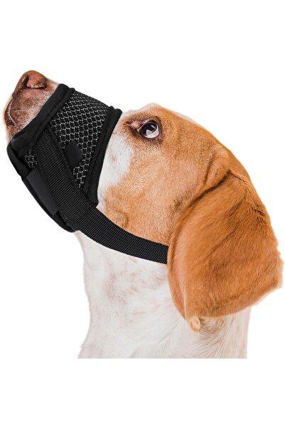 valkyrie M Beden Köpek Ağızlığı Fileli Nefes Alabilen Ayarlanabilir Cırtlı Güvenli Köpek Ağızlığı