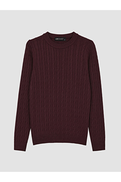 LC Waikiki Rmz Gi̇yi̇m Farkiyla Hair Weave Embroidered Women's Knitwear Sweater