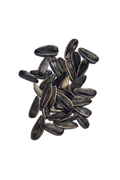 TAZEM KURUYEMİŞ Dakota Çekirdeği Sade 130 Gr
