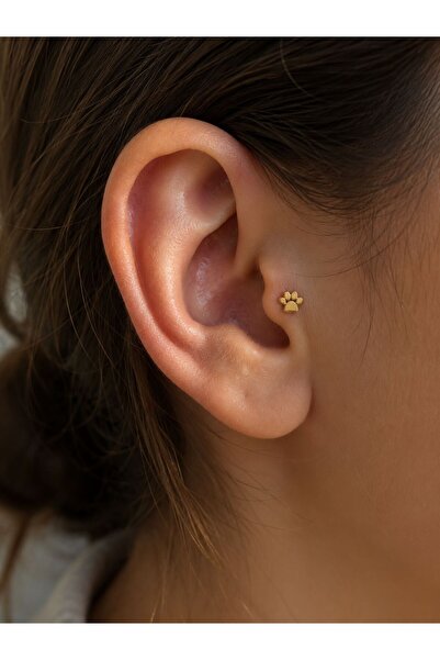 Hector&Co. Jewellery 14 Ayar Altın Pati Figürlü Minimal Tragus Piercing