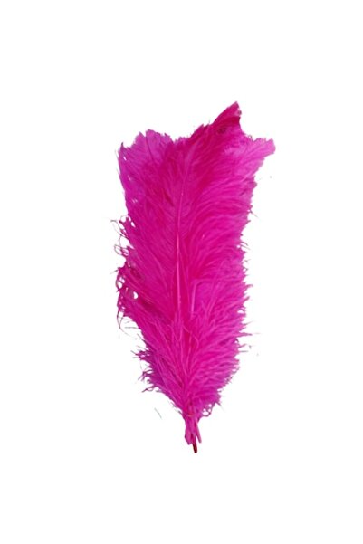 OEM Set de 3 pene de struț, lungi de 60 cm, culoare fuchsia, lățime 20-25 cm