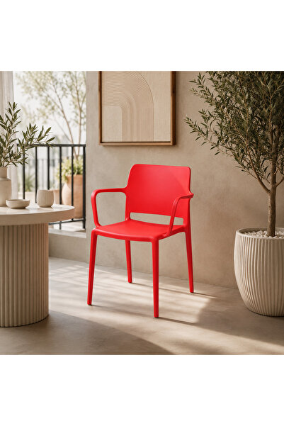 N.zone Modern Plastic Chair with Integrated Armrests, Practical and Lightweig...