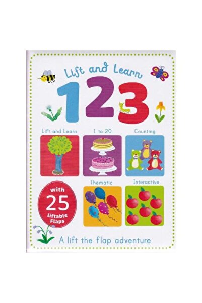 Generic (Unbranded) Early Learning Lift and Learn 123, ABC, Starting School &...