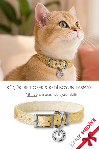 pasiole Kedi-köpek Boyun Tasması İsimlik Hediyeli Ayarlanabilir Kedi & Küçük ...