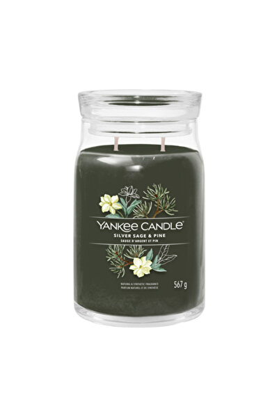Yankee Candle Κερί Υπογραφής Ασημένιας Φασκομηλιάς & Πεύκου, Μεγάλο, 567 γρ.