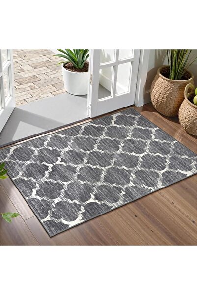 GENERAL Lahome Moroccan Area Rug - 2’x3’Washable Small Entryway Accent Distre...