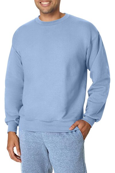 HANES mens Men's Ecosmart Fleece Sweatshirt Hooded Sweatshirt (pack of 1)