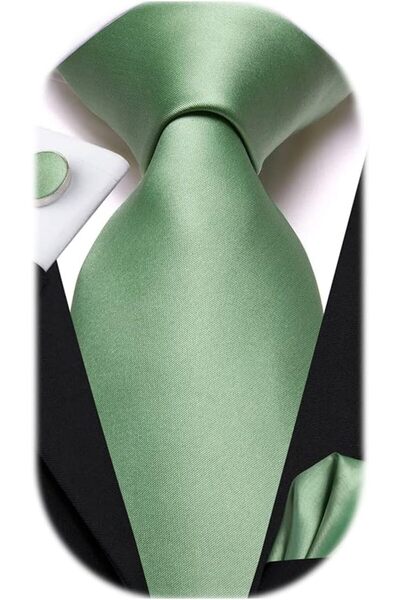 Dubulle Mens Paisely Silk Tie for Men Necktie and Pocket Square Set