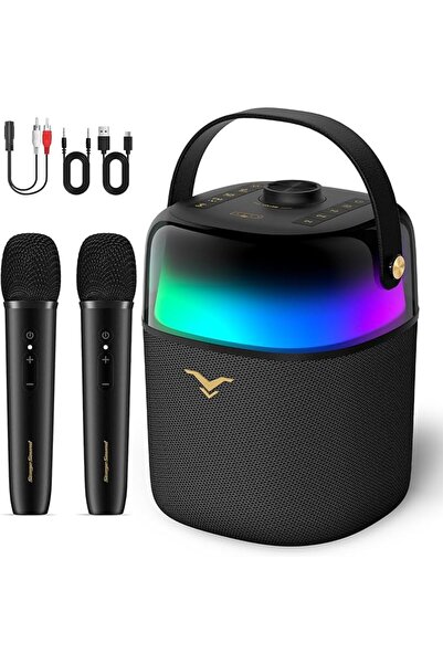 STAGESOUND Karaoke Machine for Adults with 2 Wireless Microphones, 60W Portab...