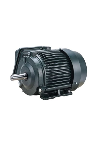 GÜMRÜK BEY EQP Global SD 2 HP 1.5 kW 1750 RPM NEMA 145T Elektrik Motoru (0024...