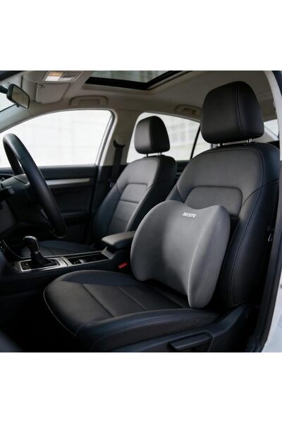 GENERAL Memory Foam Car Lumbar Support Pillow, Ergonomic Back Pillow for Driv...