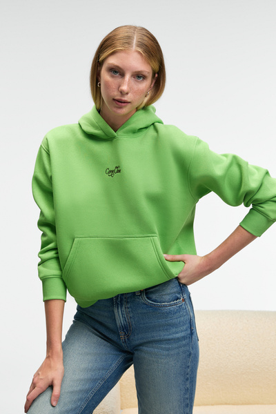 ETHIQUET Melurea women's embroidered Hooded comfort fit pistachio green sweat...