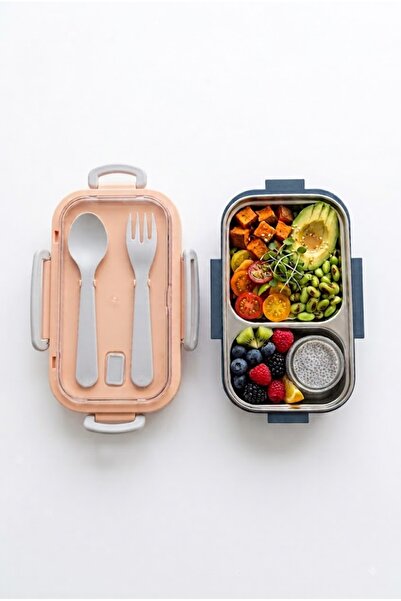 Sowo Home Steel Lunch Box with 2 Compartments, Fork and Spoon, Camping Food C...