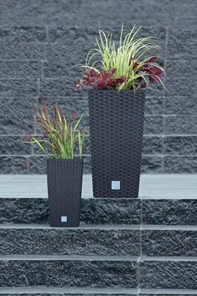 Prosperplast Ghiveci cu sistem de irigare 29xh55cm RATTAN