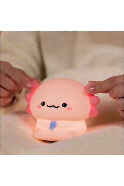 NO BRAND LAMPĂ DE NOAPTE, LAMPĂ DE MASĂ, LAMPĂ DE BIROU, LED, CU BATERIE REÎN...