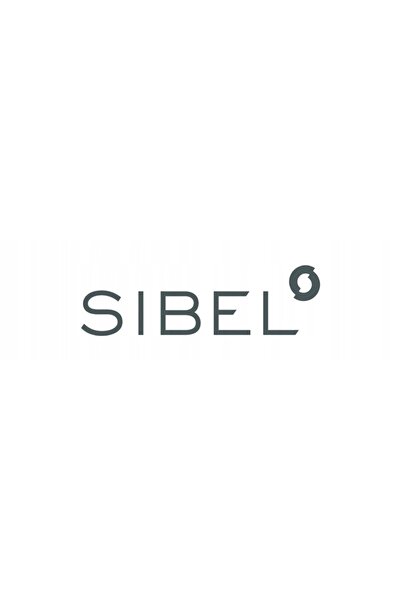 NO BRAND SIBEL Mașină de curățat perii de păr cu aburi
