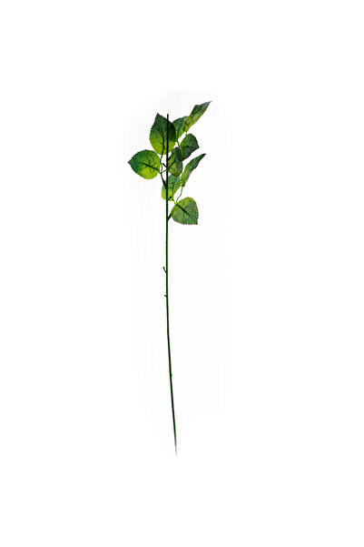 NO BRAND 48 bucăți Tulpina de trandafir 50 CM FLORI ARTIFICIALE