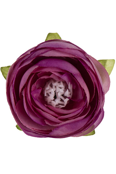 NO BRAND 48X JASKIER PEŁNIK VIOLET RANUNCULUS CAP DE EXEMPLU