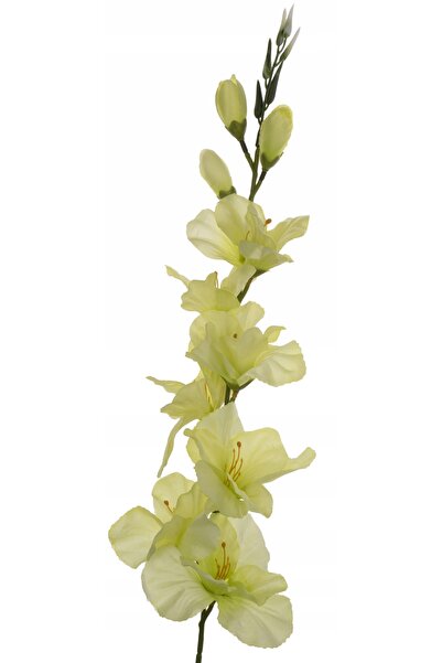NO BRAND 12x Ramuri artificiale de flori de pistaciu Swordflower, 77 cm