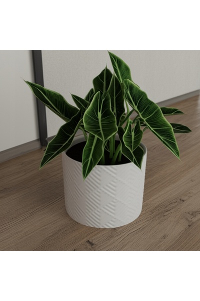 NO BRAND Ghiveci pentru flori și plante, decorativ, din plastic, alb, pentru ...