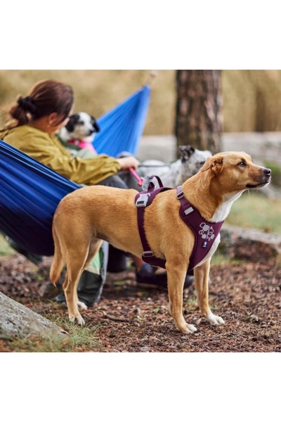 NO BRAND Hurtta Weekend Warrior II Eggplant - ham pentru câini activi 45-60