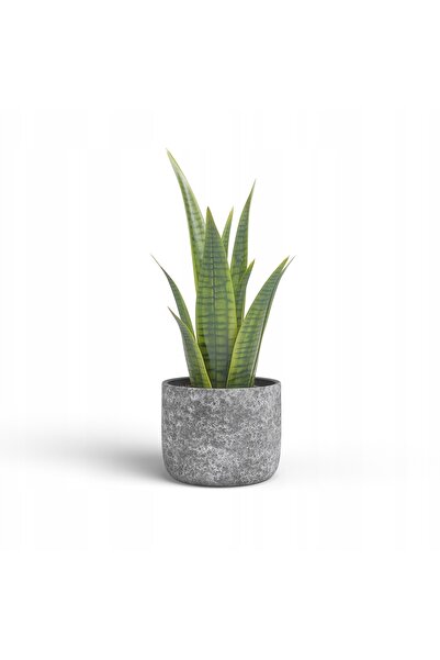 NO BRAND CASSIA 21cm Ghiveci ceramic cu efect de piatră antracit