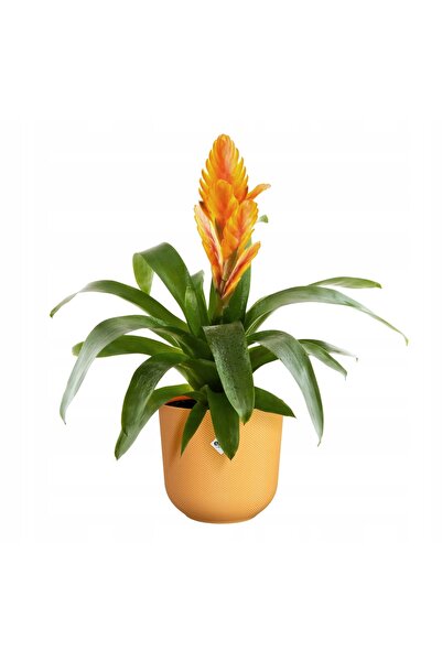 NO BRAND spora ghiveci de flori pentru living din plastic JAZZ 26 galben